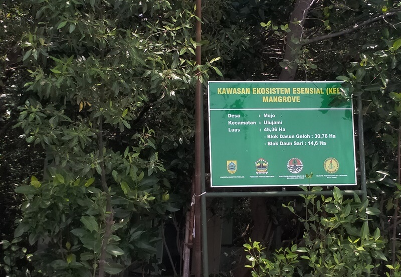 Kawasan Ekosistem Esensial Mangrove (KEE).