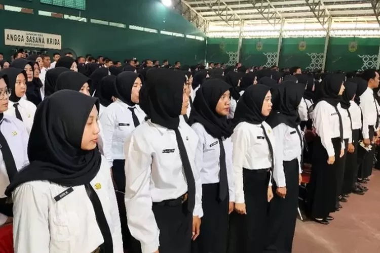 Kini PPPK yang Sudah mengabdi 1 Tahun Bisa mengajukan Perubahan Status Menjadi CPNS