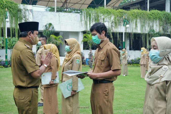 Seleksi PPPK Guru Bakal di Laksanakan Setelah CPNS Selesai, Tenaga Honorer Di minta persiapkan Berkas Berikut