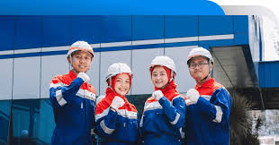 Pertamina Career 2026: Peluang Bergabung dengan Perusahaan Energi Nasional Kelas Dunia 1 images 7